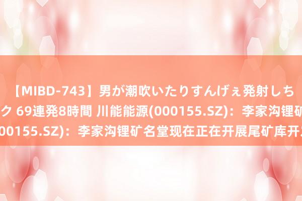 【MIBD-743】男が潮吹いたりすんげぇ発射しちゃう！ 女神の痴女テク 69連発8時間 川能能源(000155.SZ)：李家沟锂矿名堂现在正在开展尾矿库开发